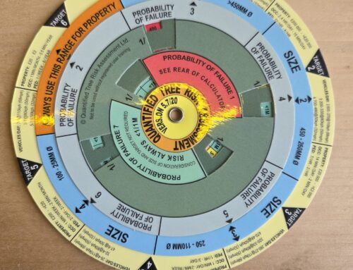 QTRA binnen GT Bomen